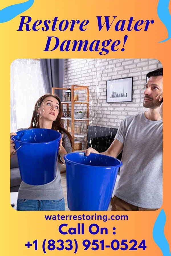 water restoration Priority Water Damage Company Blue Earth