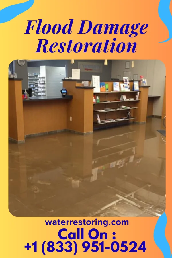 Flood Damage Restoration in Blue Earth, MN
