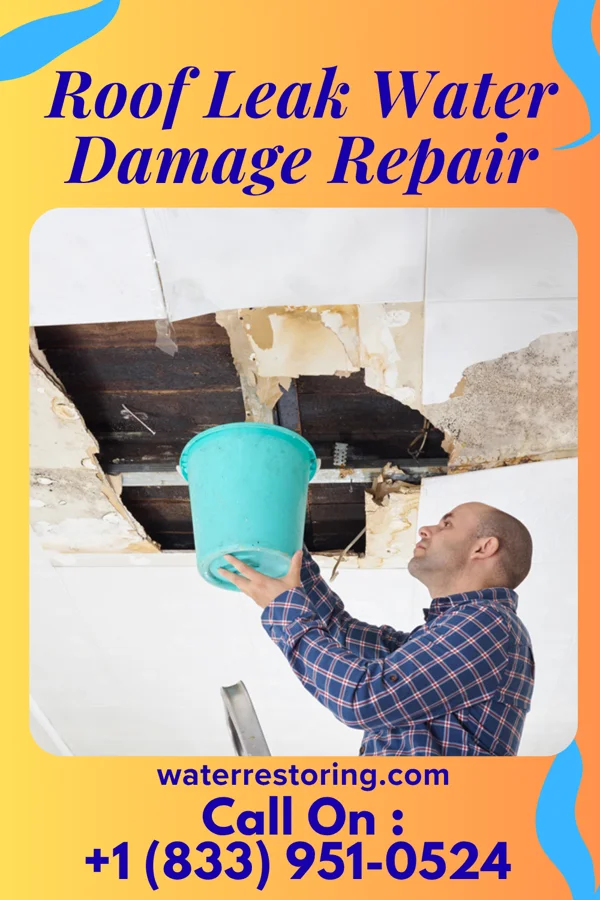 Roof Leak Water Damage Repair in Blue Earth, MN