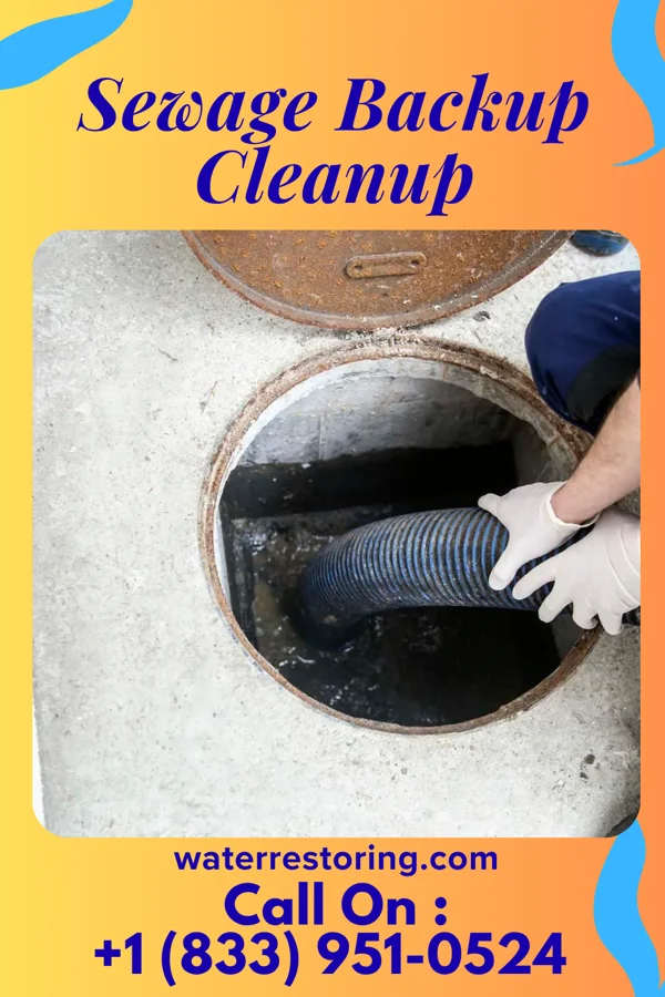 Sewage Backup Cleanup in Blue Earth, MN